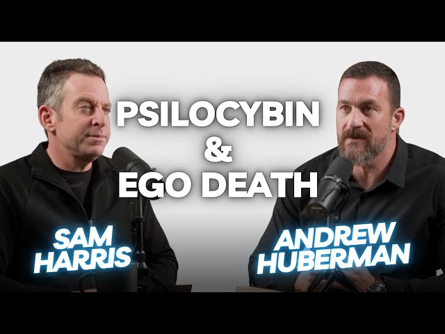 Dr Andrew Huberman with Sam Harris: Psilocybin & Ego Death | HLE