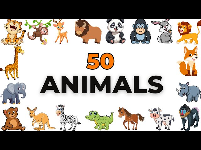 50 Animal names for kids, toddlers, kindergarten || learn animals.