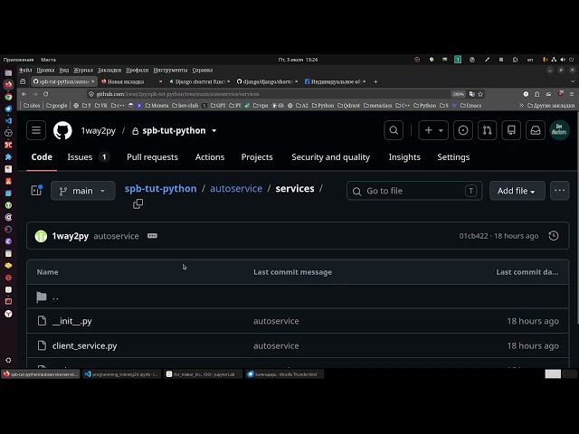 Who makes a good Python vibe coder?
