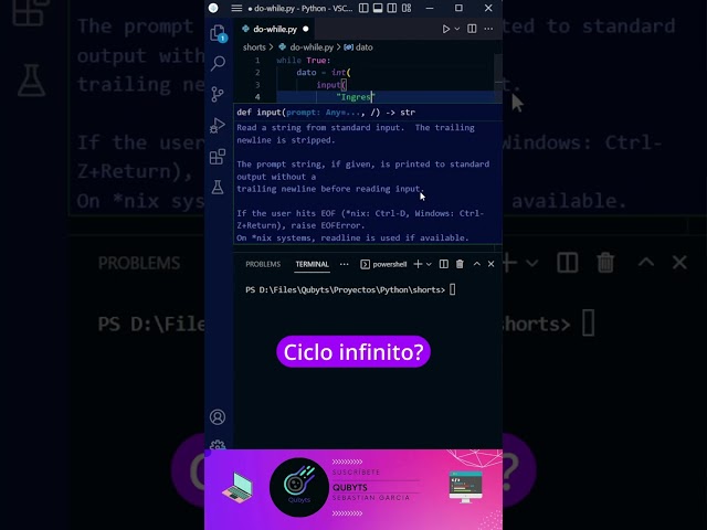 Existe el ciclo do while en python?