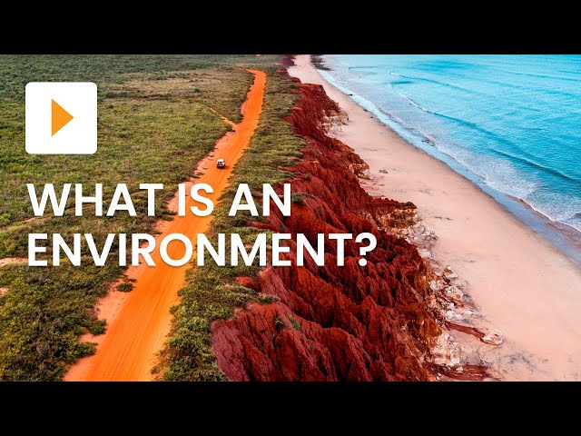 Types of Natural Environments | Geography | ClickView