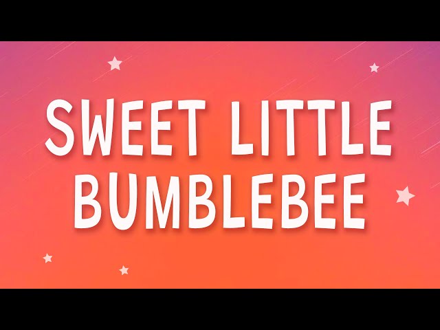 Bambee - Sweet little bumblebee (Bumble Bee) (Sped Up) (Lyrics)