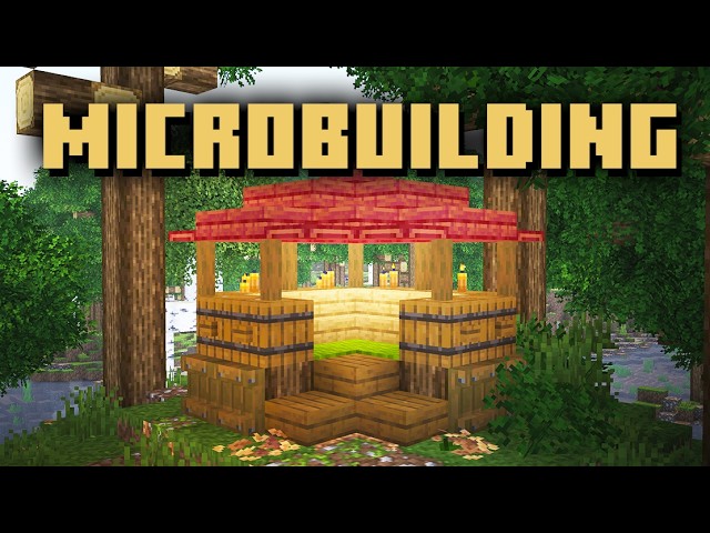 What Is Microbuilding In Minecraft?
