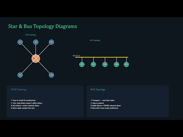 Computer Networks & Protocols | Class 12 Complete Chapter Explained & exam concepts