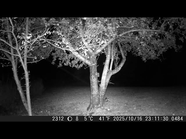 2025 — DSCF1484