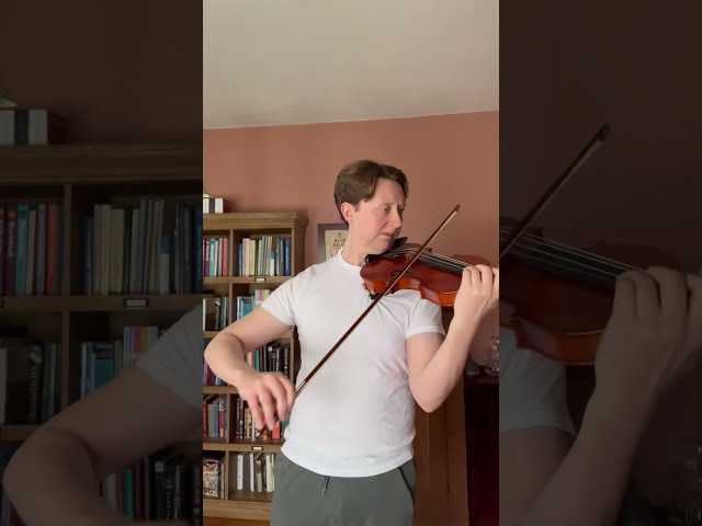 SolidSun Performs - Salut d'Amour (Elgar) - Romantic Violin Music