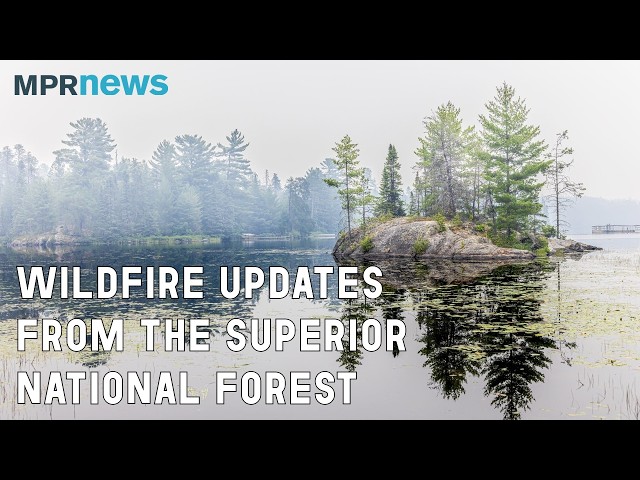 Wildfire updates: U.S. Forest Service addresses ongoing firefighting in northern Minnesota