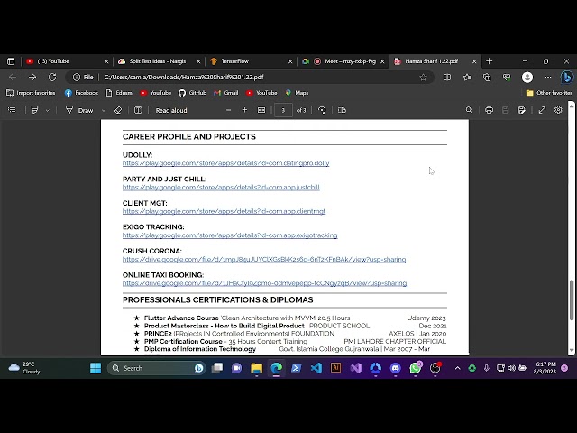 A video interview with Pakistani Flutter developer || Job Interview flutter developer
