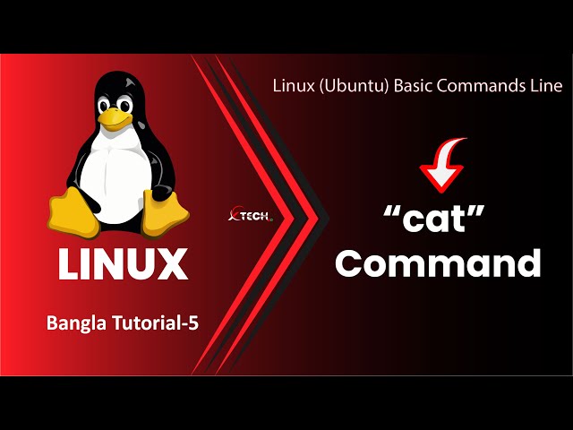 Linux Commands | linux “cat” command | Ubuntu (Linux) Basic Commands for Beginners | T-5 | XTECH BD