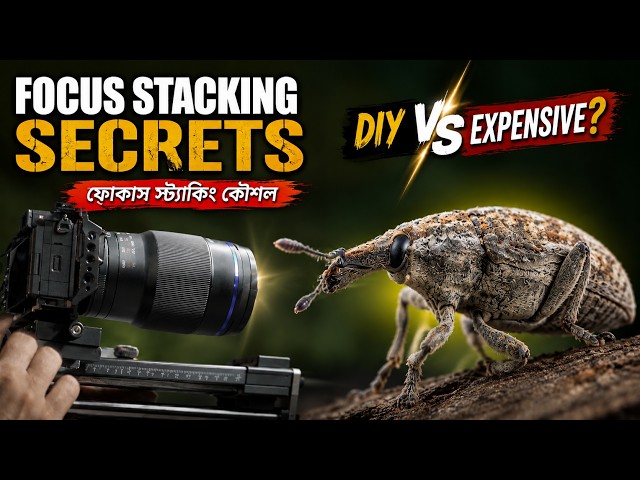 Watch Me Focus Stack a Live Insect Without Expensive Gear -- ফোকাস স্ট্যাকিং কৌশল