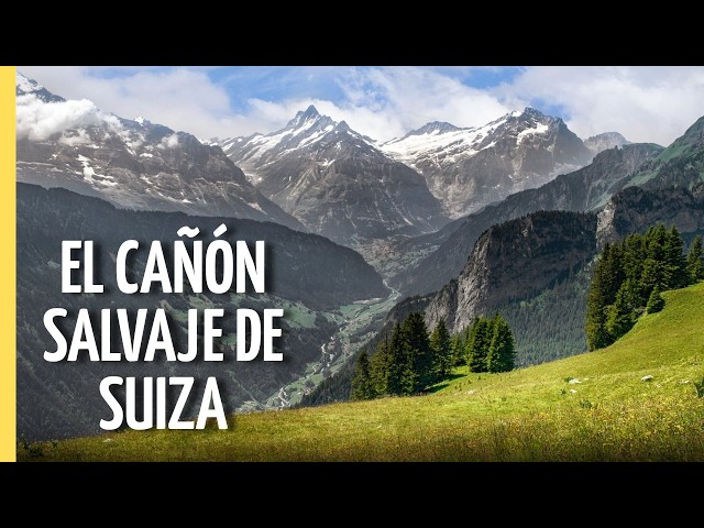-40°C y vida salvaje: el invierno más duro de Suiza | Episodio Completo
