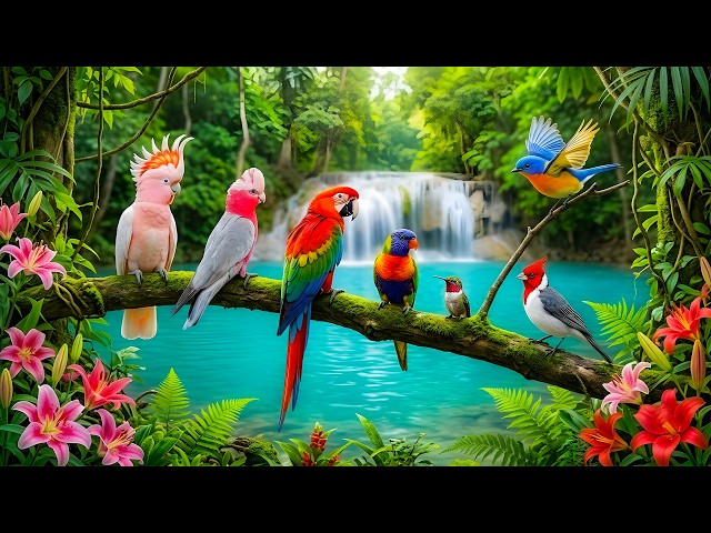 Peaceful Bird Sounds & Calm Piano 🍃 Relaxing Music for Meditation, Focus & Emotional Balance