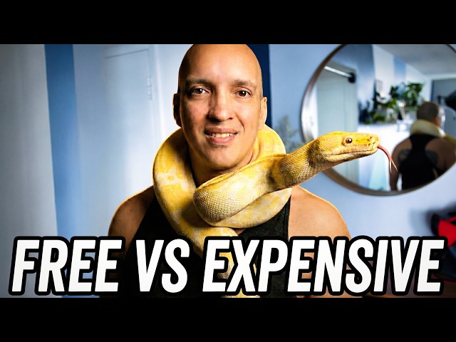 Free vs  $100,000 Pet Snake!