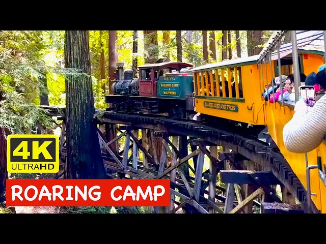 2023 Roaring Camp Railroad Redwood Forest Steam Train FULL RIDE EXPERIENCE near Santa Cruz 4K HDR