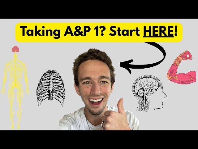 Anatomy & Physiology 1: ENTIRE Course Explained in One Video!