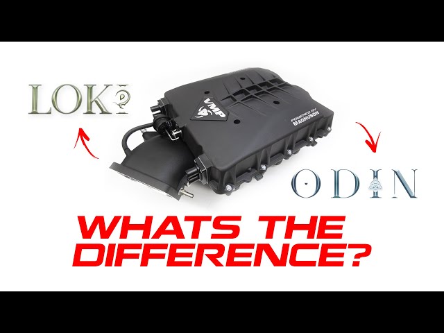 Loki and Odin || What's the Difference?