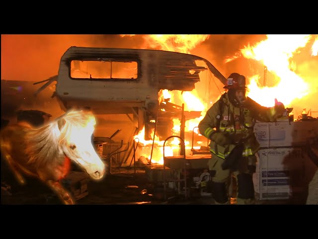 Stringers Live 🔴 Pony Escapes Structure Fire - Bakersfield, CA - @QmpNews