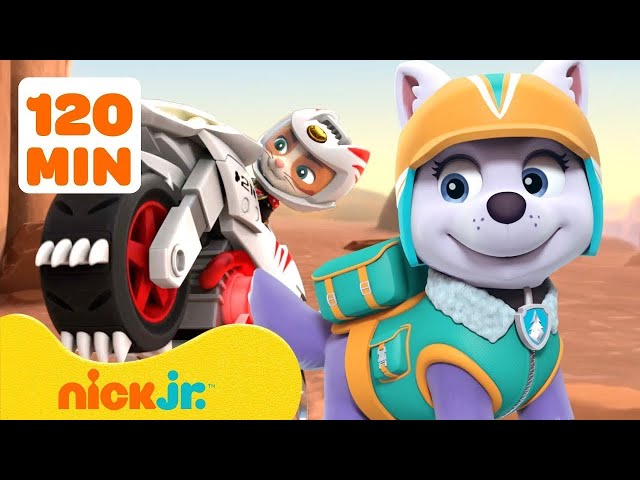 Paw Patrol | ¡PAW Patrol en acción fuera de Bahía Aventura! 🐾❄️🌵 | Nick Jr