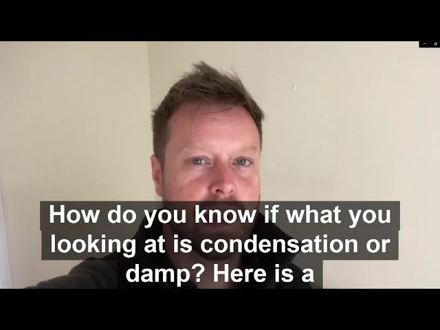Tell the difference between condensation and damp in 1 minute.
