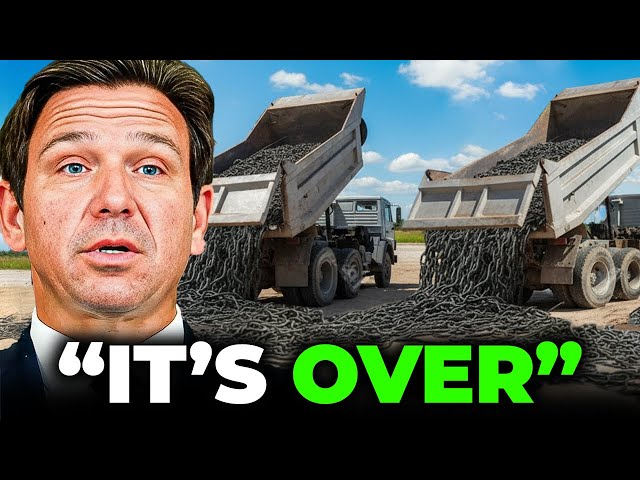 Florida Released Something That Kills Pythons from the Inside, but No One Expected THIS to Happen