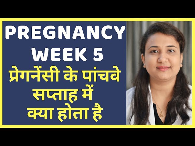 प्रेगनेंसी का पांचवा सप्ताह | PREGNANCY WEEK 5