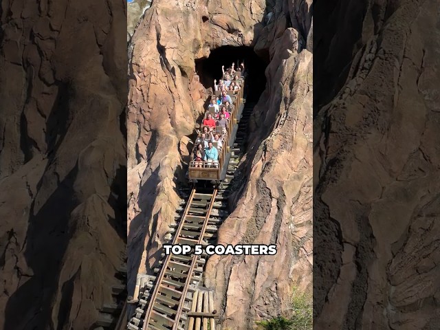 Top 5 Roller Coasters at Walt Disney World 🏰🎢