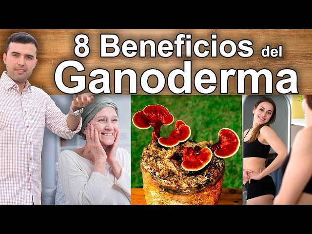 Para que Sirve el Ganoderma Lucidum - 8 Propiedades, Beneficios y Usos Medicinales
