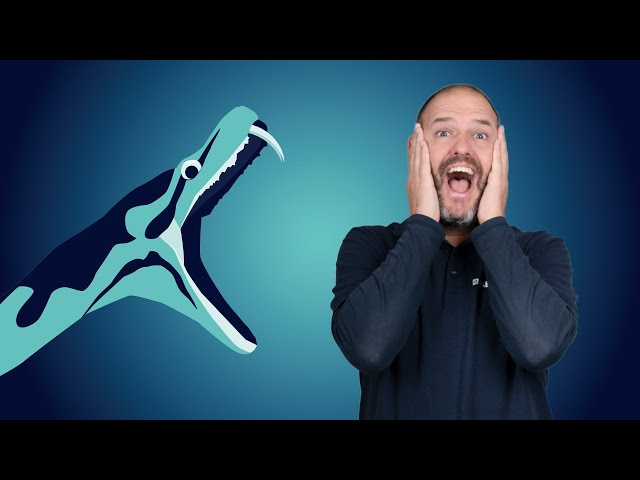 What is Python? (the programming language)