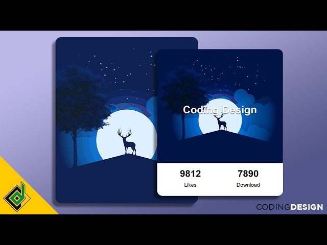 Create Eye-catching CSS Card Designs with Animation
