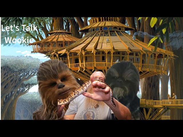 Let's Talk Wookie