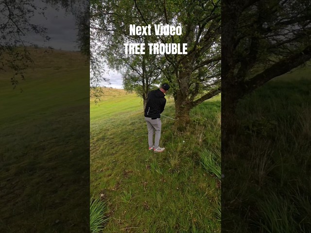 Plenty Of Golf Tree Trouble In Next Competition Video