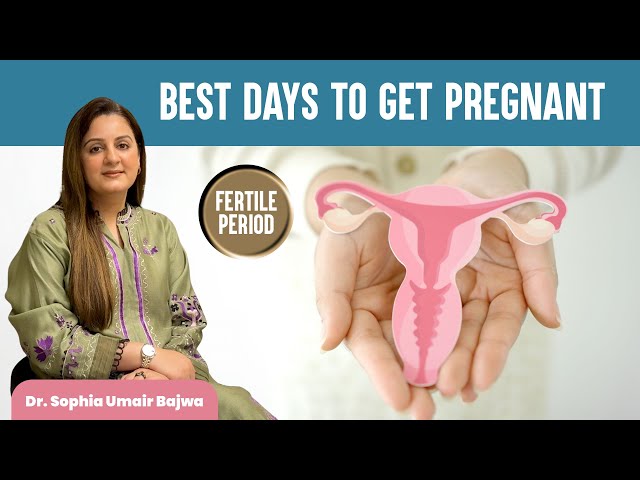 Best Days to Get Pregnant |  Fertile Window