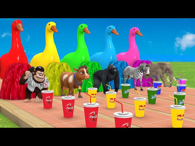 Long Slide Game With Cow Elephant Gorilla Hippopotamus Tiger 3d Animal Game Funny 3d Animals