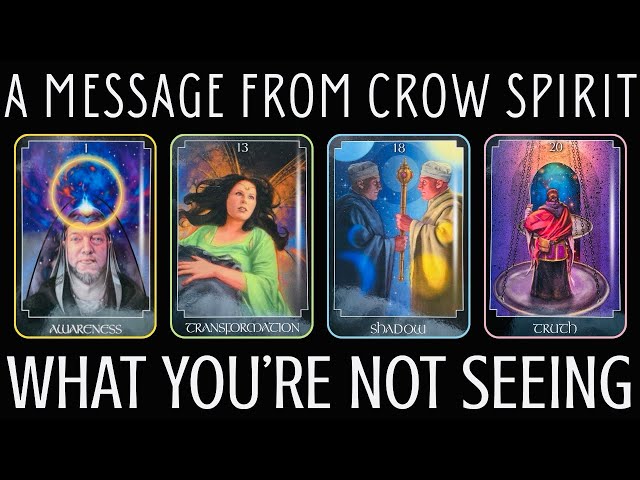 🐦‍⬛Crow Spirit Has A Message For You ✨PICK A CARD Tarot Reading