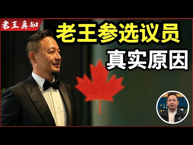 Lao Wang is Here: Why Lao Wang Wants to Run for City Council? | The Real Situation for Overseas C...