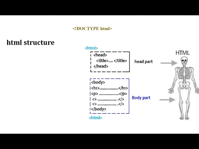 Chapter 4 HTML HSC ICT Lecture  2 by Zen sir #ICT #hsc