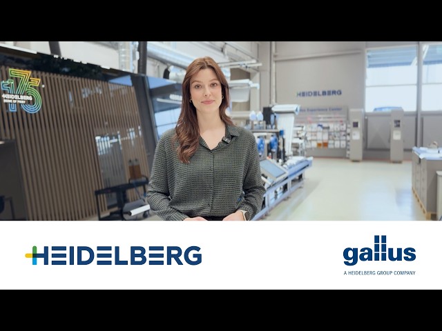 Gallus Five Introduction