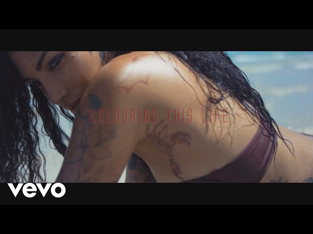 Vybz Kartel - Colouring This Life