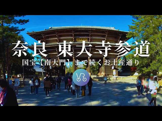 奈良 東大寺参道【CyclingVR】SAMPLE