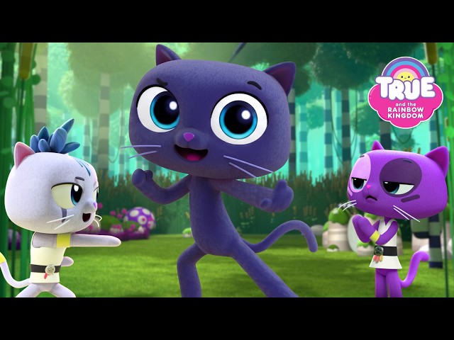 Ninja Cats 😸 | 2 Full Episodes | True and the Rainbow Kingdom
