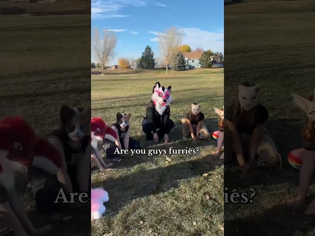 Correct answer #bark #tiktok #furry #cosplay #fursuit #furries #viral #trend #therian #therians