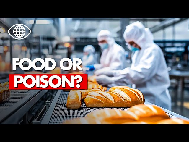 Progress or Poison? The True Cost of Our Food System | Documentary - MDW