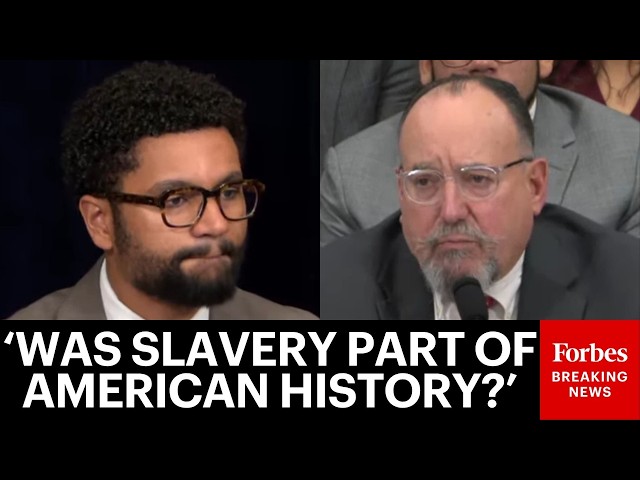 'Are You A Professional Historian?': Max Frost Grills Heritage Foundation Witness