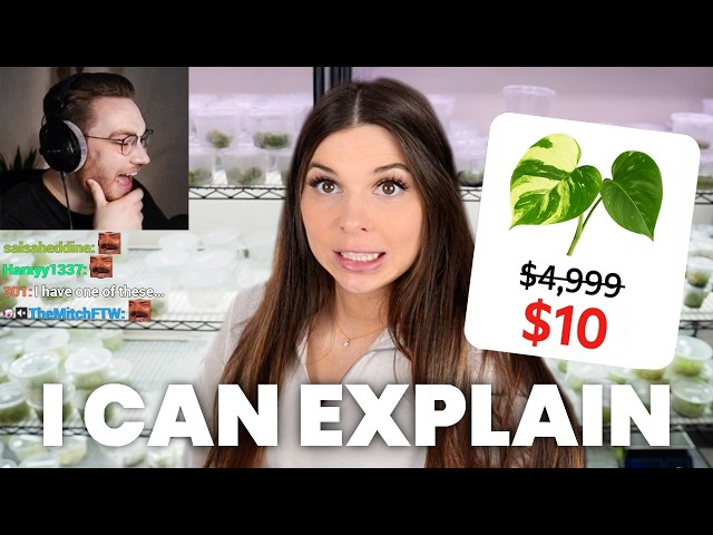 How this Girl Crashed the Entire Plant Market…