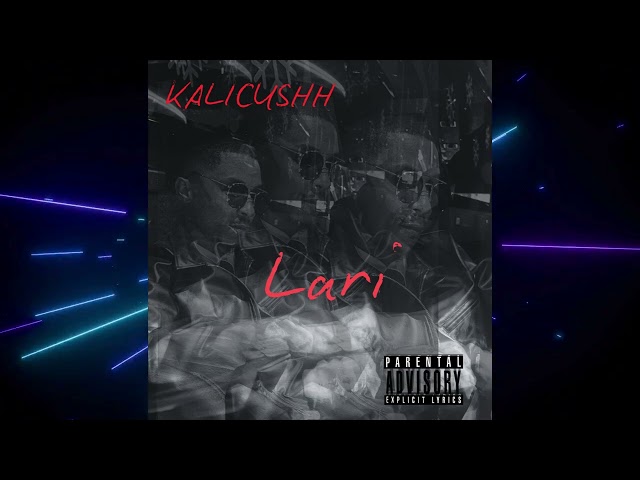 Lari visualizer