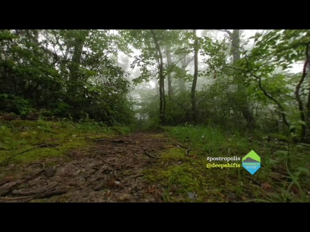 Fodder Stack 20190523 4K