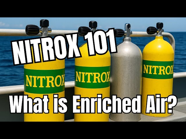 Guía para principiantes de NITROX | ¡Lo que necesitas saber para una inmersión segura!