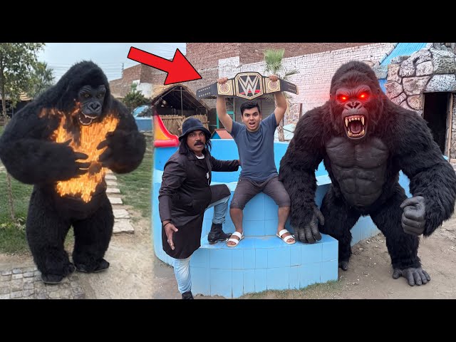 Shaka Don vs Gorilla Clash Fix 😁 Gorilla Ko Agg Lag Gi 😨
