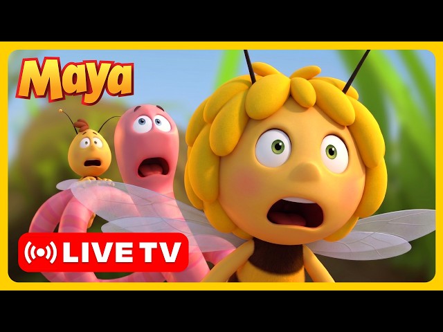 🔴 LIVE! Maya The Bee – Maya To The Rescue! 🐝 Cartoons and Videos for Kids