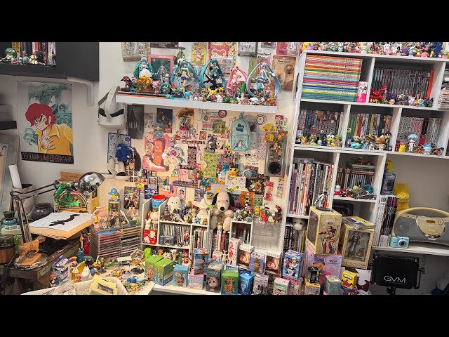 Decluttering My Life as a Toy Collector and Navigating Overconsumption